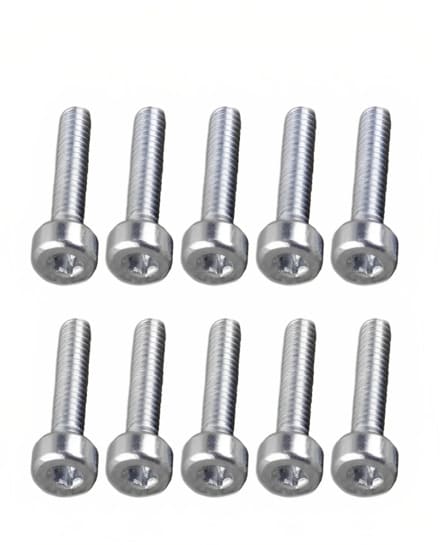 Tornillo TORX M6*20 Spline Screw