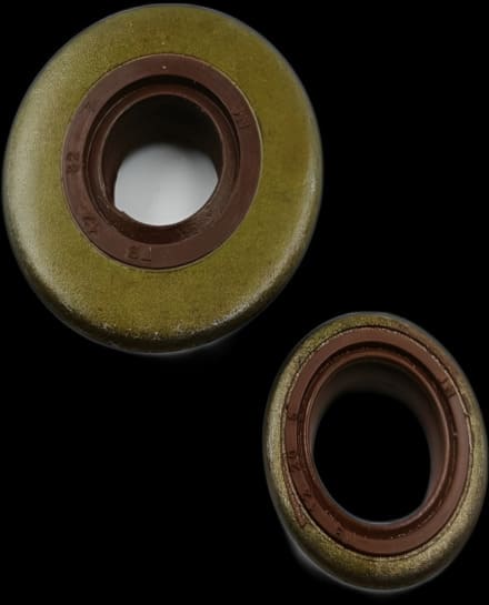 Retenes de CIGÜEÑAL FS160 FS220 FS280 Oil Seal Set